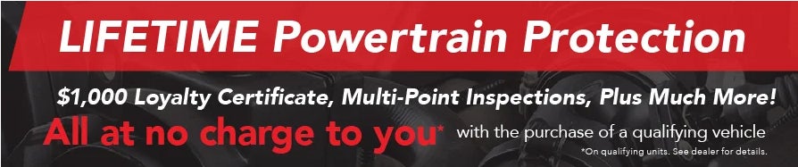 Lifetime Powetrain Protection